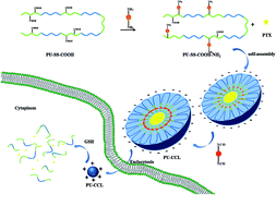 Graphical abstract: Surface charge switchable and core cross-linked polyurethane micelles as a reduction-triggered drug delivery system for cancer therapy