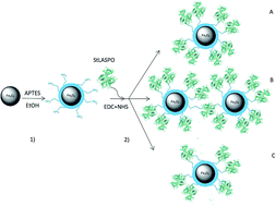 Graphical abstract: l-aspartate oxidase magnetic nanoparticles: synthesis, characterization and l-aspartate bioconversion