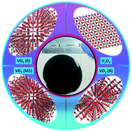 Graphical abstract: Facile synthesis of various epitaxial and textured polymorphs of vanadium oxide thin films on the (0006)-surface of sapphire substrates