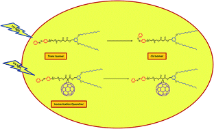 Graphical abstract: Synthesis, characterization and optical properties of novel dendronized azo-dyes containing a fullerene C60 unit and well-defined oligo(ethylene glycol) segments