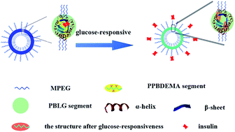 Graphical abstract: Polypeptide-participating complex nanoparticles with improved salt-tolerance as excellent candidates for intelligent insulin delivery