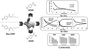 Graphical abstract: Stereoselective metabolism of the UV-filter 2-ethylhexyl 4-dimethylaminobenzoate and its metabolites in rabbits in vivo and vitro