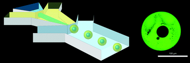 Graphical abstract: Microcapsules with a permeable hydrogel shell and an aqueous core continuously produced in a 3D microdevice by all-aqueous microfluidics