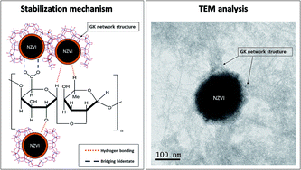 Graphical abstract: Gum karaya (Sterculia urens) stabilized zero-valent iron nanoparticles: characterization and applications for the removal of chromium and volatile organic pollutants from water