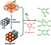 Graphical abstract: A bioinspired heterogeneous catalyst based on the model of the manganese-dependent dioxygenase for selective oxidation using dioxygen