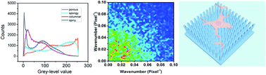 Graphical abstract: The modulation effect of the convexity of silicon topological nanostructures on the growth of mesenchymal stem cells