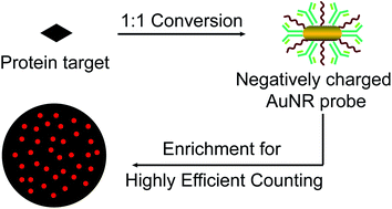 Graphical abstract: Digital immunoassay of a prostate-specific antigen using gold nanorods and magnetic nanoparticles