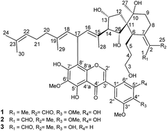 Graphical abstract: The unprecedented iridal lactone and adducts of spiroiridal and isoflavonoid from Belamcanda chinensis