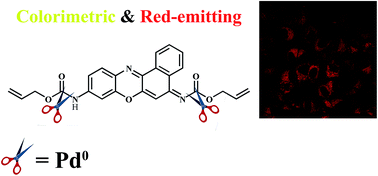 Graphical abstract: CV-APC, a colorimetric and red-emitting fluorescent dual probe for the highly sensitive detection of palladium