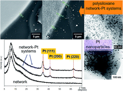 Graphical abstract: Physicochemical and catalytic properties of polysiloxane network–Pt systems
