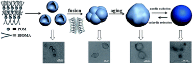 Graphical abstract: Multicompartment-like aggregates formed by a redox-responsive surfactant encapsulated polyoxometalate in DMF/butanol mixed solvent