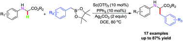 Graphical abstract: Oxidative cross-coupling reaction by scandium catalysis for synthesis of α-alkyl α-amino acid ester derivatives