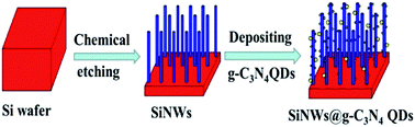 Graphical abstract: Fabrication of graphitic-C3N4 quantum dots coated silicon nanowire array as a photoelectrode for vigorous degradation of 4-chlorophenol