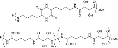 Graphical abstract: One-pot oligoamides syntheses from l-lysine and l-tartaric acid