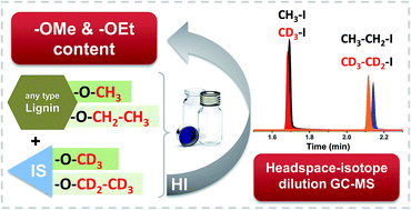 Graphical abstract: A fast track for the accurate determination of methoxyl and ethoxyl groups in lignin