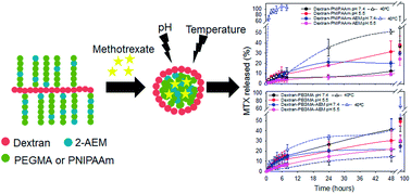 Graphical abstract: Dually sensitive dextran-based micelles for methotrexate delivery