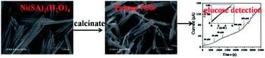 Graphical abstract: Synthesis of nickel(ii) coordination polymers and conversion into porous NiO nanorods with excellent electrocatalytic performance for glucose detection