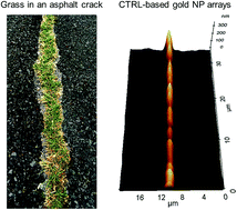 Graphical abstract: Facile synthesis of self-aligned gold nanoparticles by crack templated reduction lithography