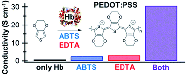 Graphical abstract: Heme protein-mediated synthesis of PEDOT:PSS: enhancing conductivity by inhibiting heme degradation