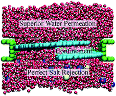 Graphical abstract: Water desalination using nano screw pumps with a considerable processing rate