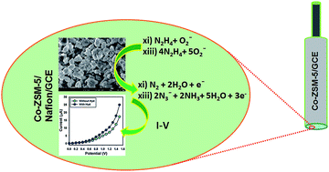 Graphical abstract: Ultrasensitive hydrazine sensor fabrication based on Co-doped ZSM-5 zeolites for environmental safety