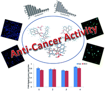 Graphical abstract: In vitro apoptosis-inducing effect and gene expression profiles of mixed ligand Cu(ii) complexes derived from 4-acyl pyrazolones on human lung cancer cells