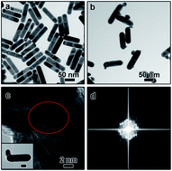 Graphical abstract: High-yield colloidal synthesis of monometallic Au nanorod–Au nanoparticle dimers and their application in SERS