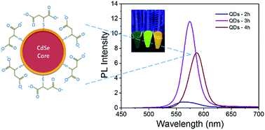 Graphical abstract: Direct assembly of thioacid capped quantum dots in solid-state hybrid photovoltaics, effect of QDs size and thermal annealing