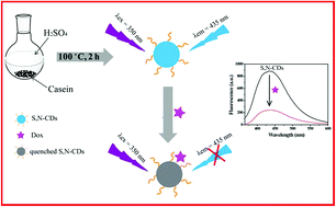 Graphical abstract: A novel fluorescent sensor based on sulfur and nitrogen co-doped carbon dots with excellent stability for selective detection of doxycycline in raw milk
