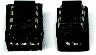 Graphical abstract: Conductive biofoams of wheat gluten containing carbon nanotubes, carbon black or reduced graphene oxide