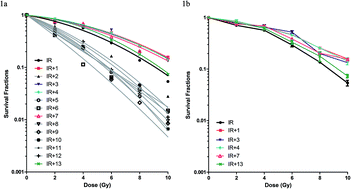 Graphical abstract: Evaluation of the protective effects of 13 traditional Chinese medicine compounds on ionizing radiation injury: bupleurum, shenmai, and breviscapine as candidate radioprotectors