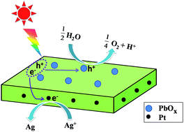 Graphical abstract: The synergetic effect of dual co-catalysts on the photocatalytic activity of square-like WO3 with different exposed facets