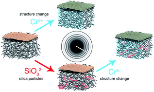 Graphical abstract: Can sodium silicates affect collagen structure during tanning? Insights from small angle X-ray scattering (SAXS) studies