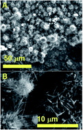 Graphical abstract: Observation of local changes of “carbon-to-metal ratio” in the growth mechanism of carbon nanostructures grown from FePd-based and Fe3C catalysts by pyrolysis of ferrocene and dichlorocyclooctadiene-palladium mixtures: the crucial role of Cl