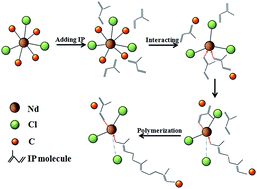 Graphical abstract: In situ X-ray absorption fine structure study on the polymerization of isoprene assisted by Nd-based ternary catalysts