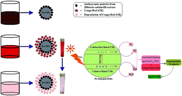 Graphical abstract: Biofabrication of Fe nanoparticles in aqueous extract of Hibiscus sabdariffa with enhanced photocatalytic activities