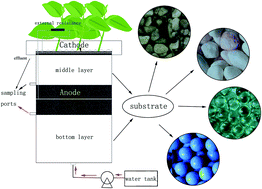 Graphical abstract: Feasibility study of simultaneous azo dye decolorization and bioelectricity generation by microbial fuel cell-coupled constructed wetland: substrate effects
