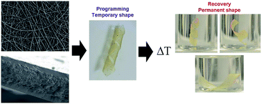 Graphical abstract: A comparative study of the mechanical, shape-memory, and degradation properties of poly(lactic acid) nanofiber and cellulose nanocrystal reinforced poly(mannitol sebacate) nanocomposites