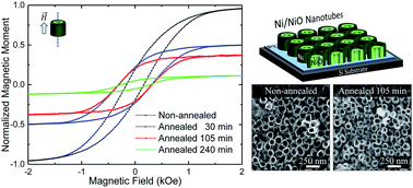 Graphical abstract: Annealing effects on the magnetic properties of highly-packed vertically-aligned nickel nanotubes