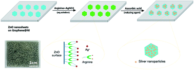 Graphical abstract: ZnO nanosheet-assisted immobilization of Ag nanoparticles on graphene/Ni foam for highly efficient reduction of 4-nitrophenol