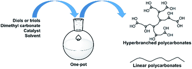 Graphical abstract: A novel one-pot process for the preparation of linear and hyperbranched polycarbonates of various diols and triols using dimethyl carbonate