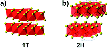 Graphical abstract: Tailored performance of layered transition metal dichalcogenides via integration with low dimensional nanostructures