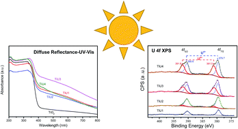 Graphical abstract: Photocatalytic decomposition of Rhodamine B on uranium-doped mesoporous titanium dioxide