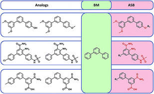 Graphical abstract: Systematic analysis of structural and activity relationships between conventional hierarchical and analog series-based scaffolds