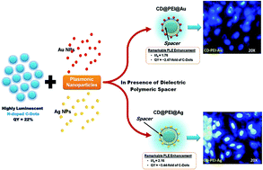Graphical abstract: Cyto-toxicity, biocompatibility and cellular response of carbon dots–plasmonic based nano-hybrids for bioimaging