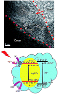 Graphical abstract: Ag3PO4@holmium phosphate core@shell composites with enhanced photocatalytic activity