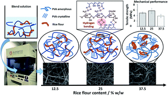 Graphical abstract: Rice flour-based nanostructures via a water-based system: transformation from powder to electrospun nanofibers under hydrogen-bonding induced viscosity, crystallinity and improved mechanical property