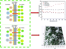 Graphical abstract: Impacts of inorganic draw solutes on the performance of thin-film composite forward osmosis membrane in a microfiltration assisted anaerobic osmotic membrane bioreactor