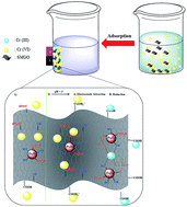 Graphical abstract: Graphene oxide/Fe3O4/SO3H nanohybrid: a new adsorbent for adsorption and reduction of Cr(vi) from aqueous solutions