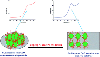 Graphical abstract: Highly sensitive electrochemical determination of captopril using CuO modified ITO electrode: the effect of in situ grown nanostructures over signal sensitivity